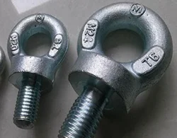 B637 N07718 Eye Screws